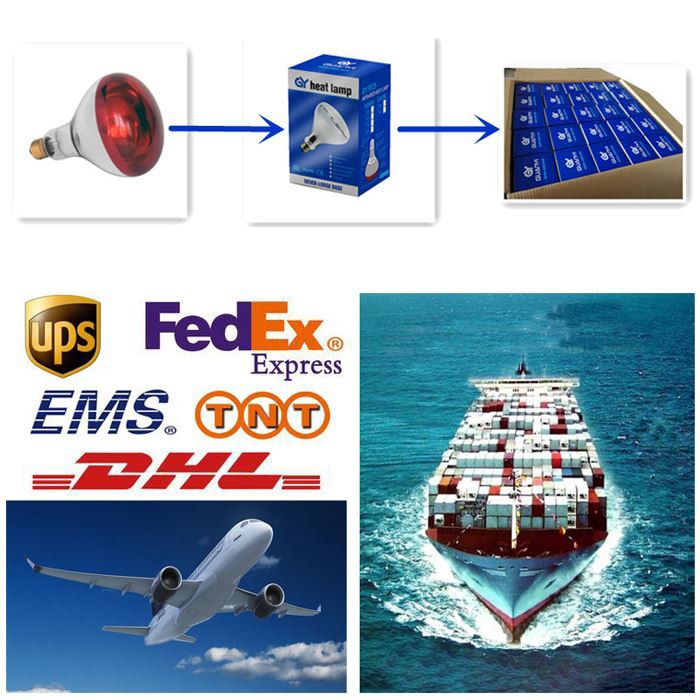 Transport of 375w heat lamp bulb