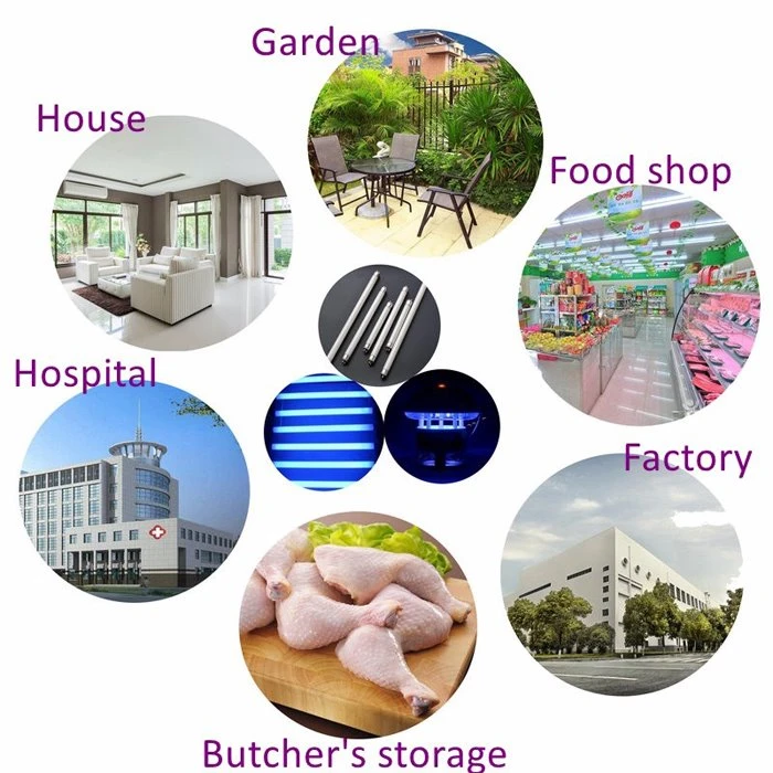 Applicable places for T5 6W BL Fluorescent light