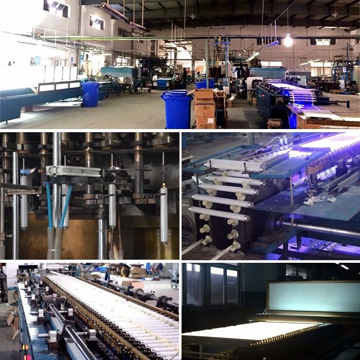 product line of T5 6W BL Fluorescent light