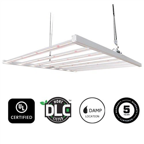 630W تنمو الأضواء