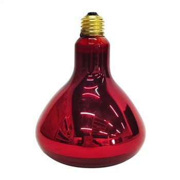 240V 275W مصباح الحرارة