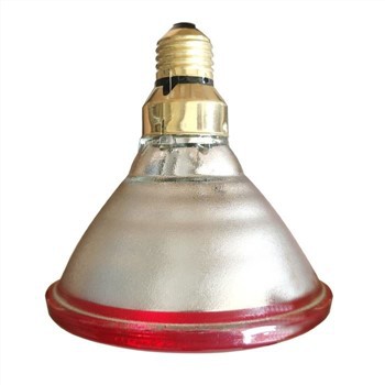 240V مصباح الحرارة